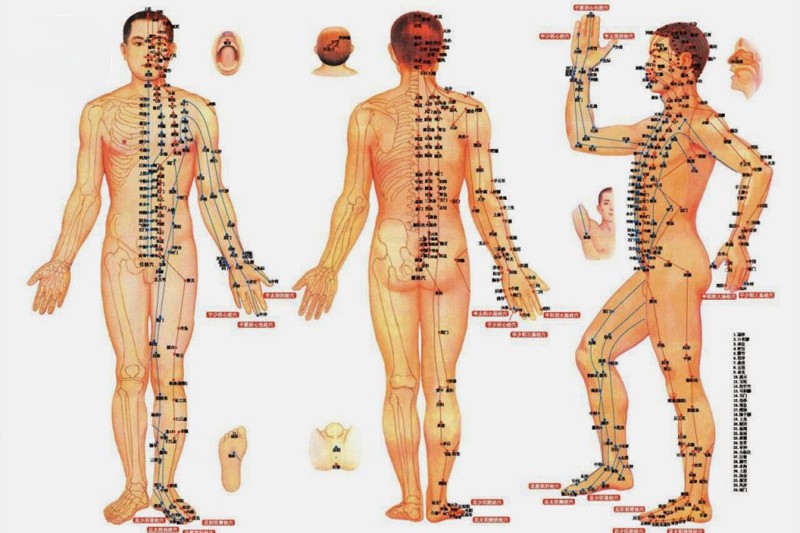 Dưỡng sinh Đông y đả thông kinh lạc là gì?
